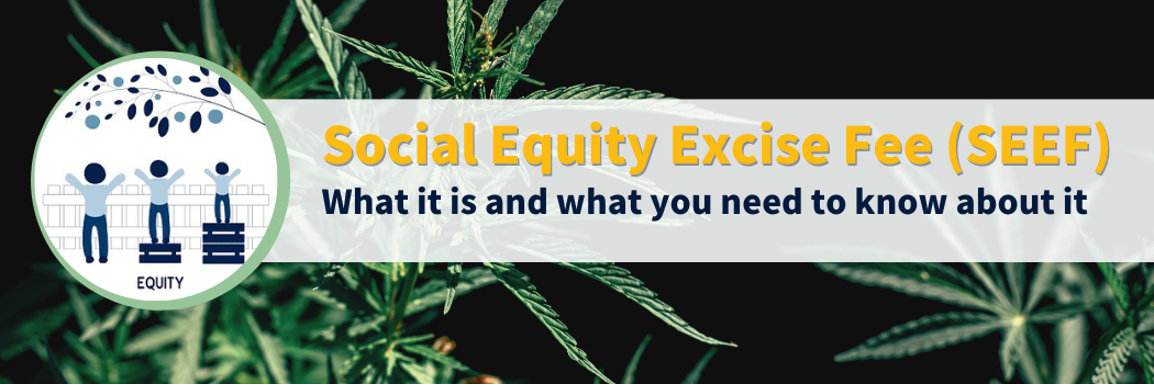 SEEF - What it is and what you need to know about it